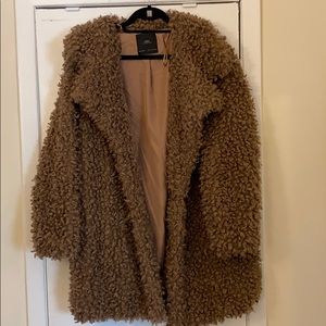 Zara Teddy Coat